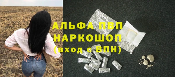 винт Алексин