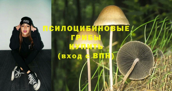 винт Алексин
