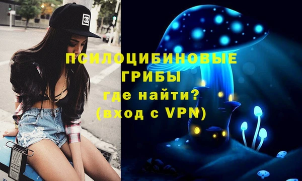 винт Алексин