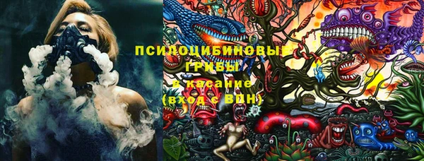 винт Алексин
