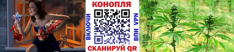 mega как войти  Полярные Зори  Конопля гибрид  сколько стоит 